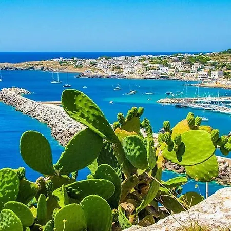 Casa Dalia - Maldive Del Salento, Pochi Passi Dal Mare Apartment *